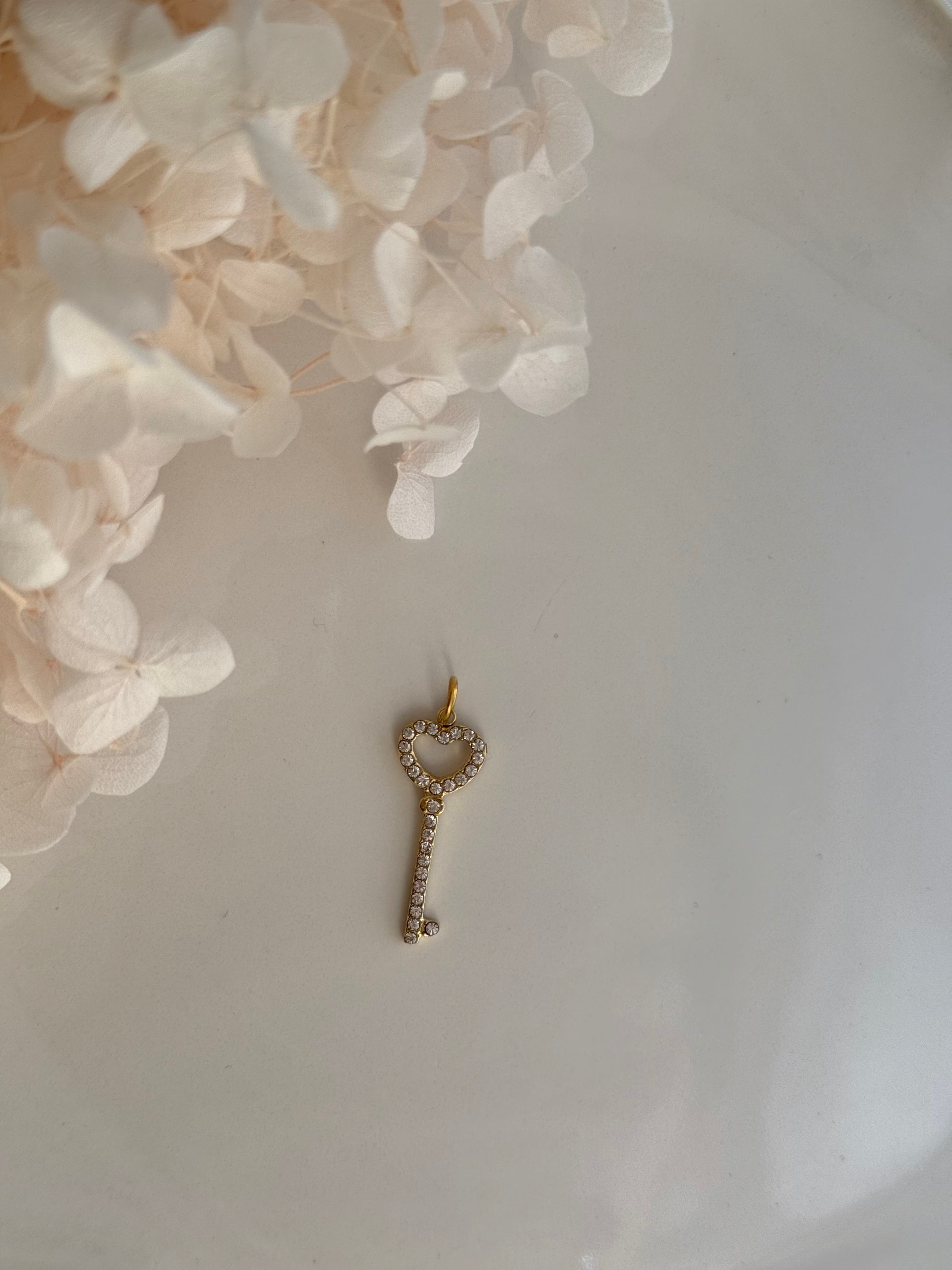 CHARM LLAVE GRANDE CIRCONITAS