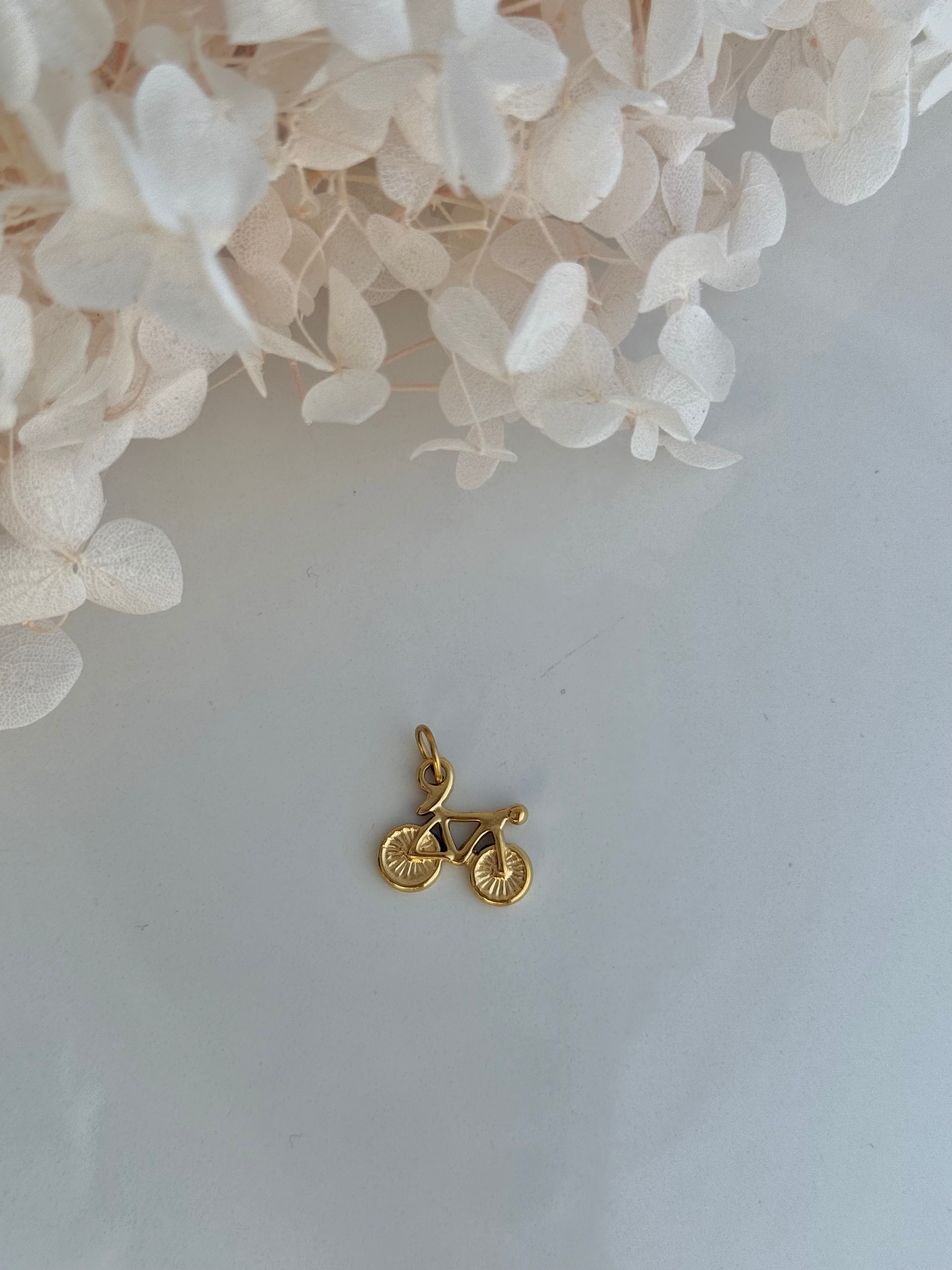 CHARM BICICLETA