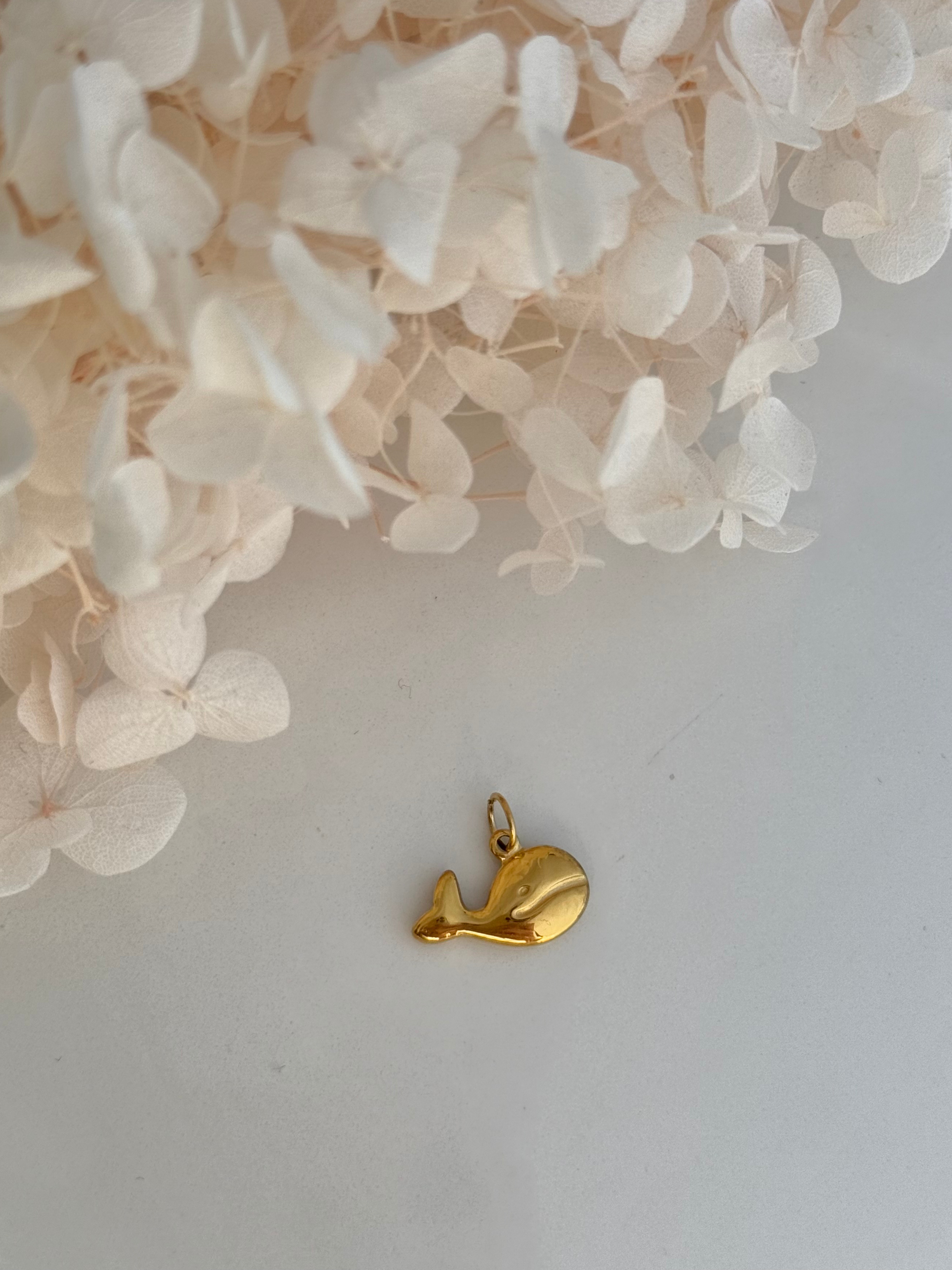 CHARM BALLENA