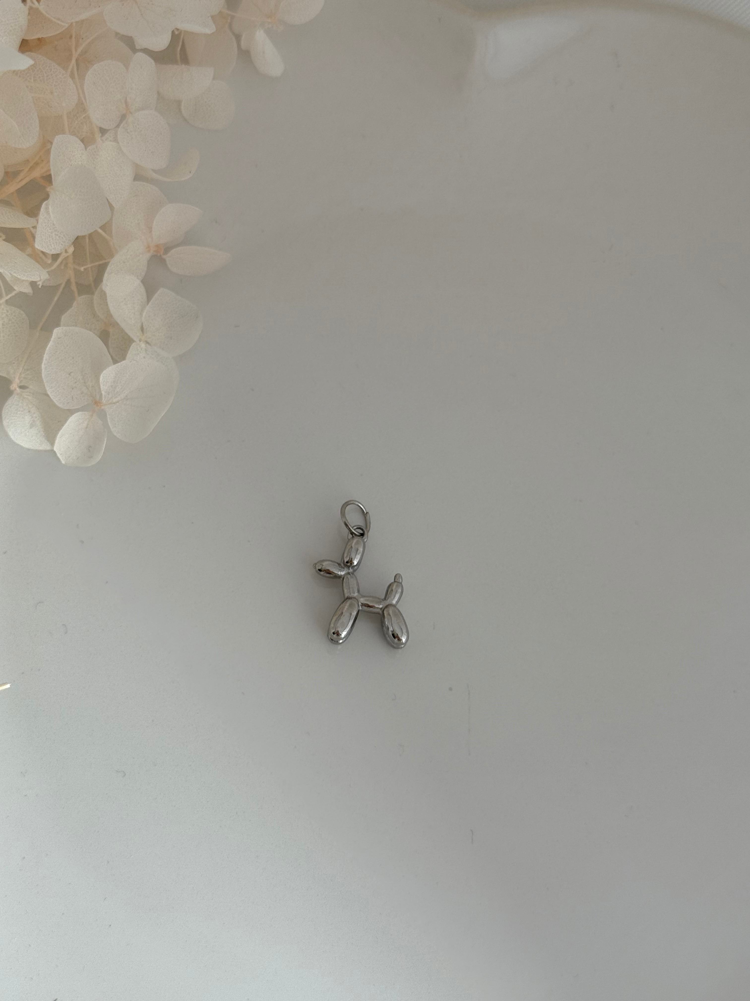 CHARM PERRO
