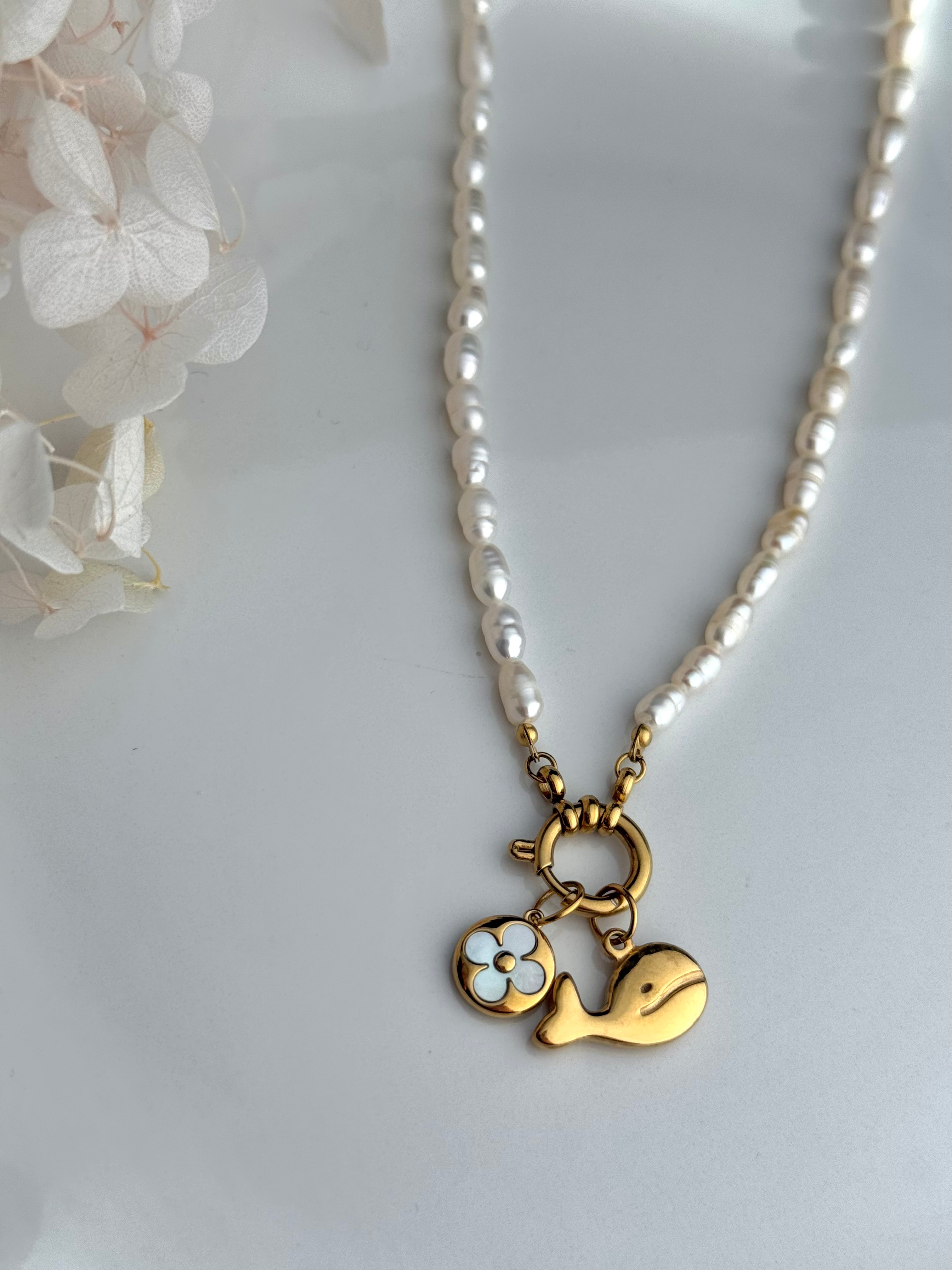 CHARM BALLENA