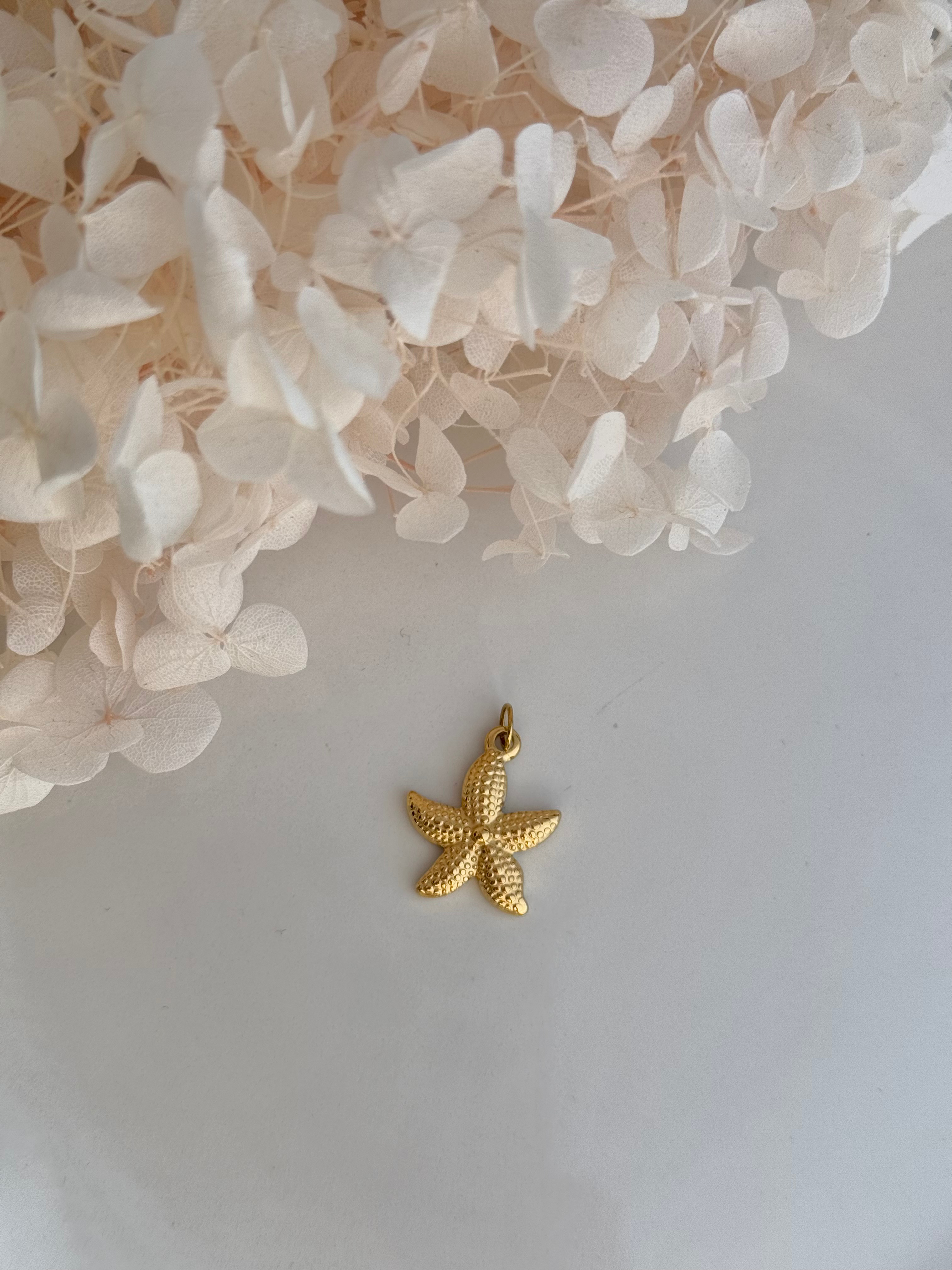 CHARM ESTRELLA DE MAR