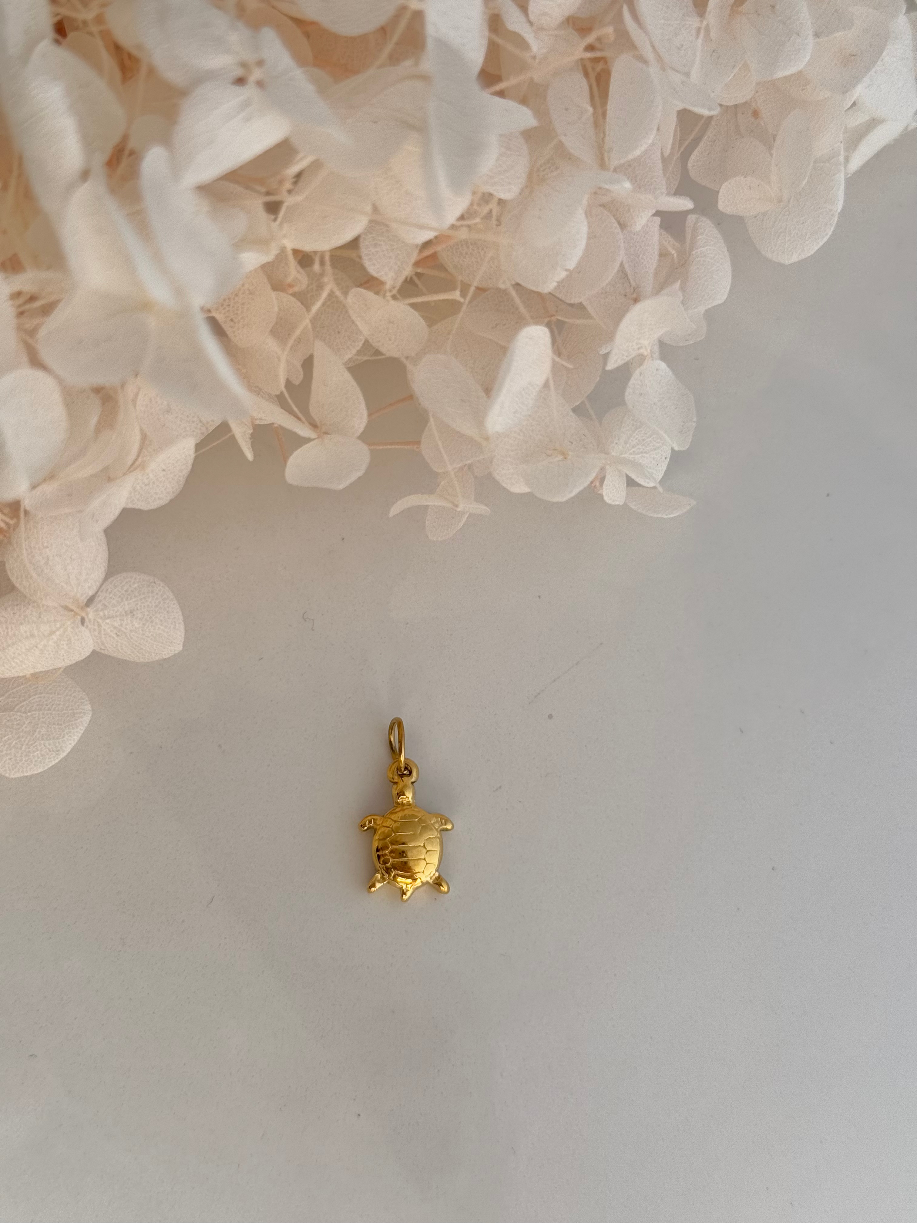 CHARM TORTUGA