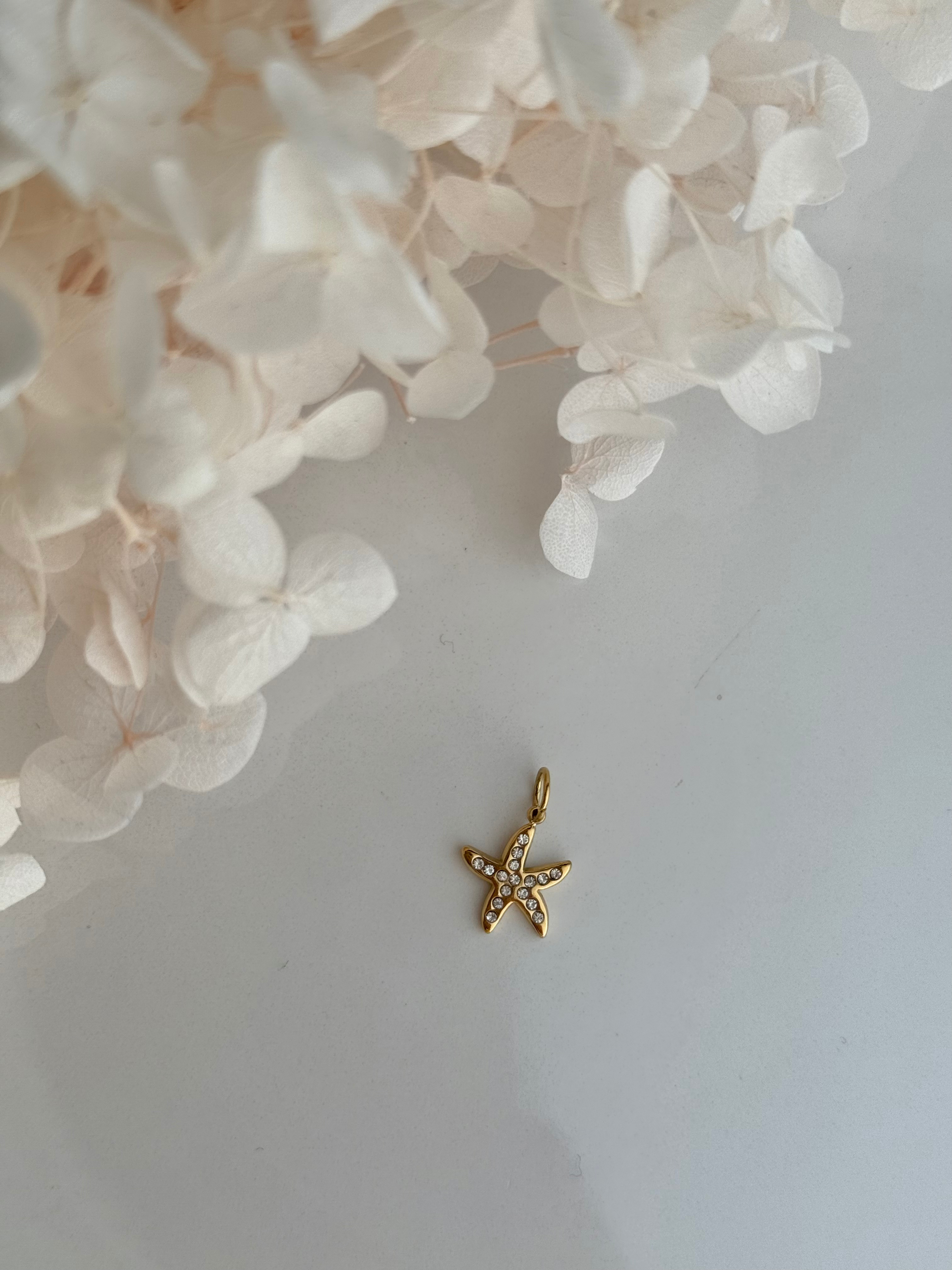 CHARM ESTRELLITA BRILLANTE