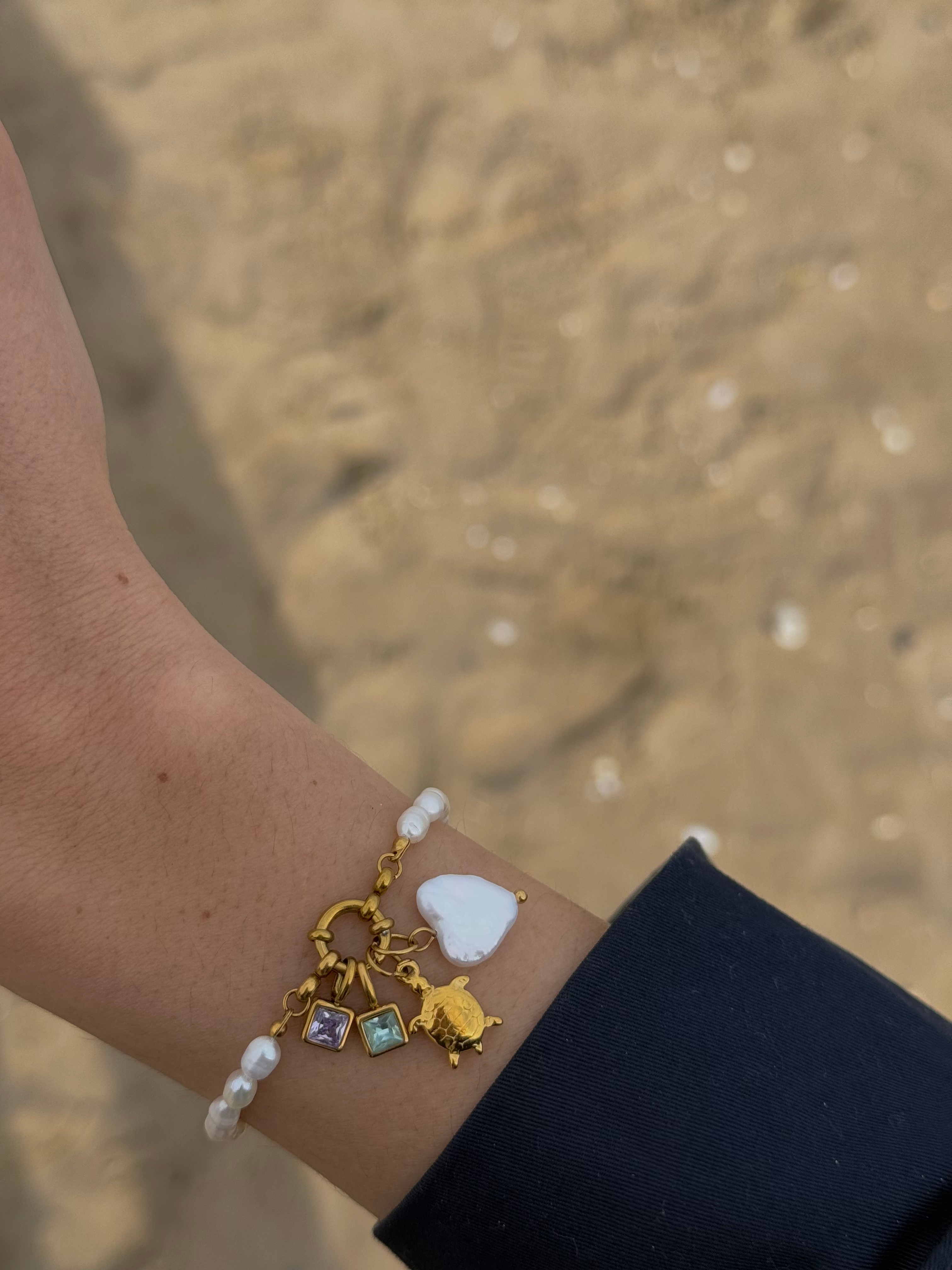 CHARM TORTUGA