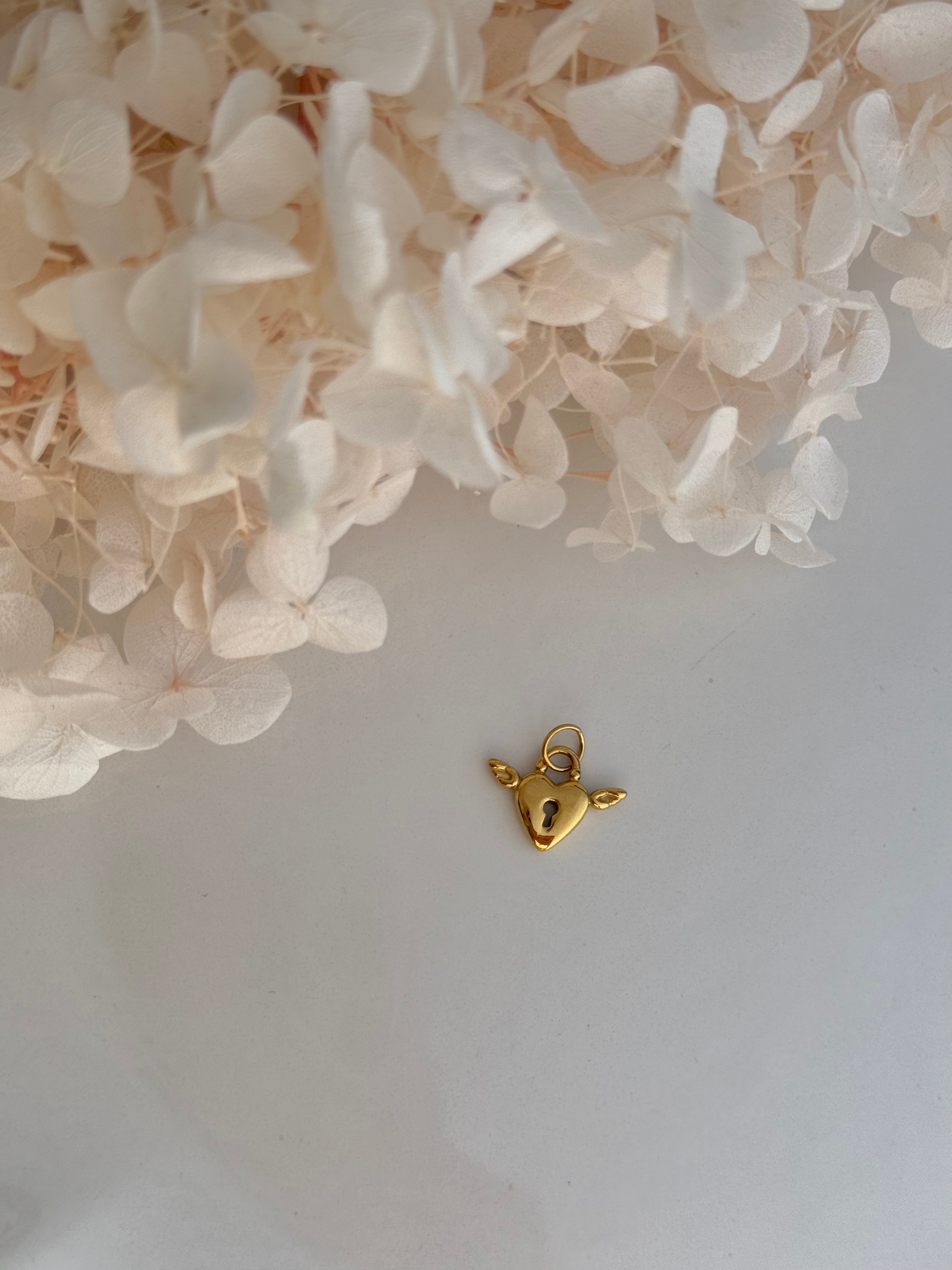 CHARM CANDADO CON ALAS