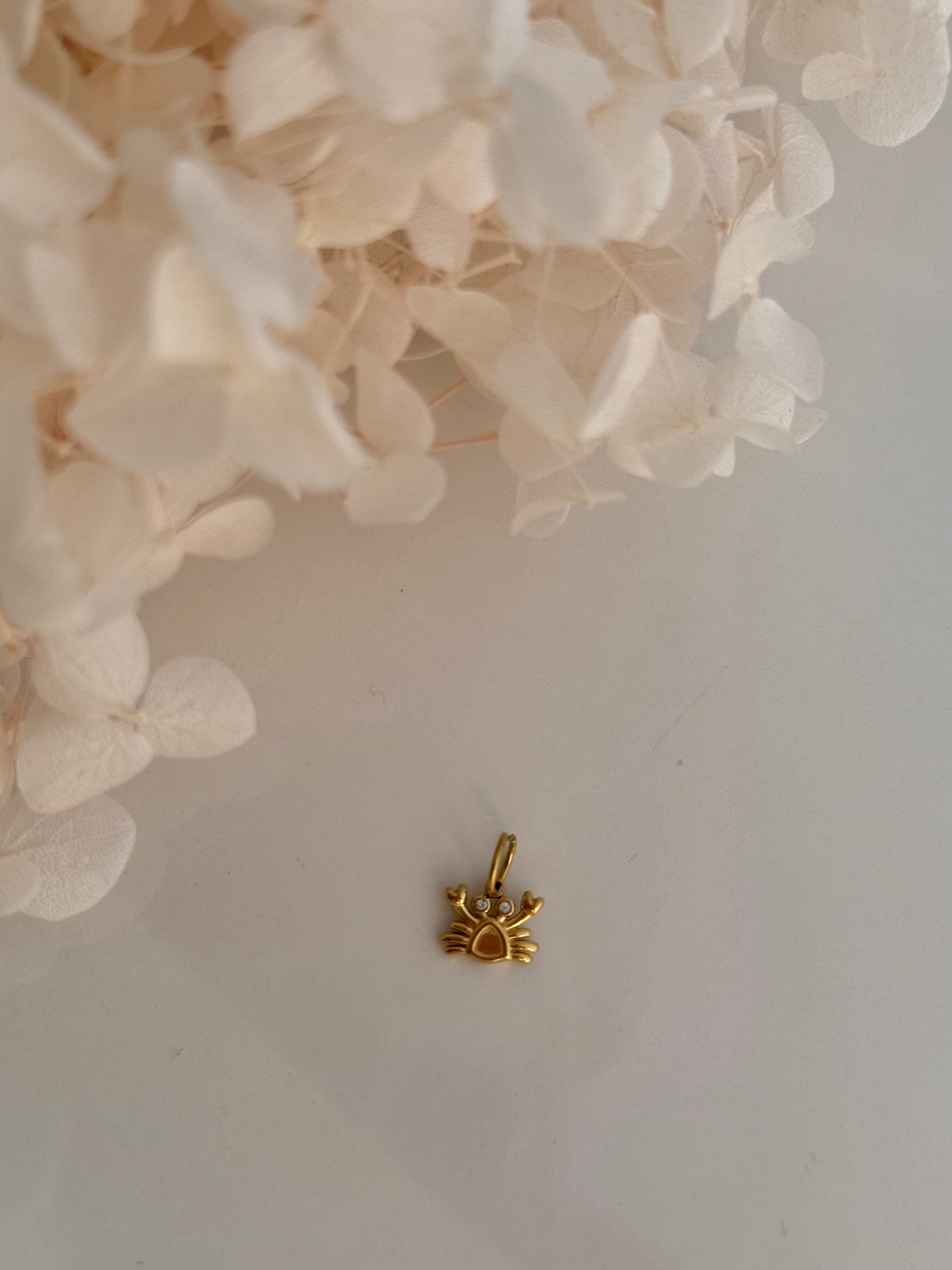 CHARM CANGREJO