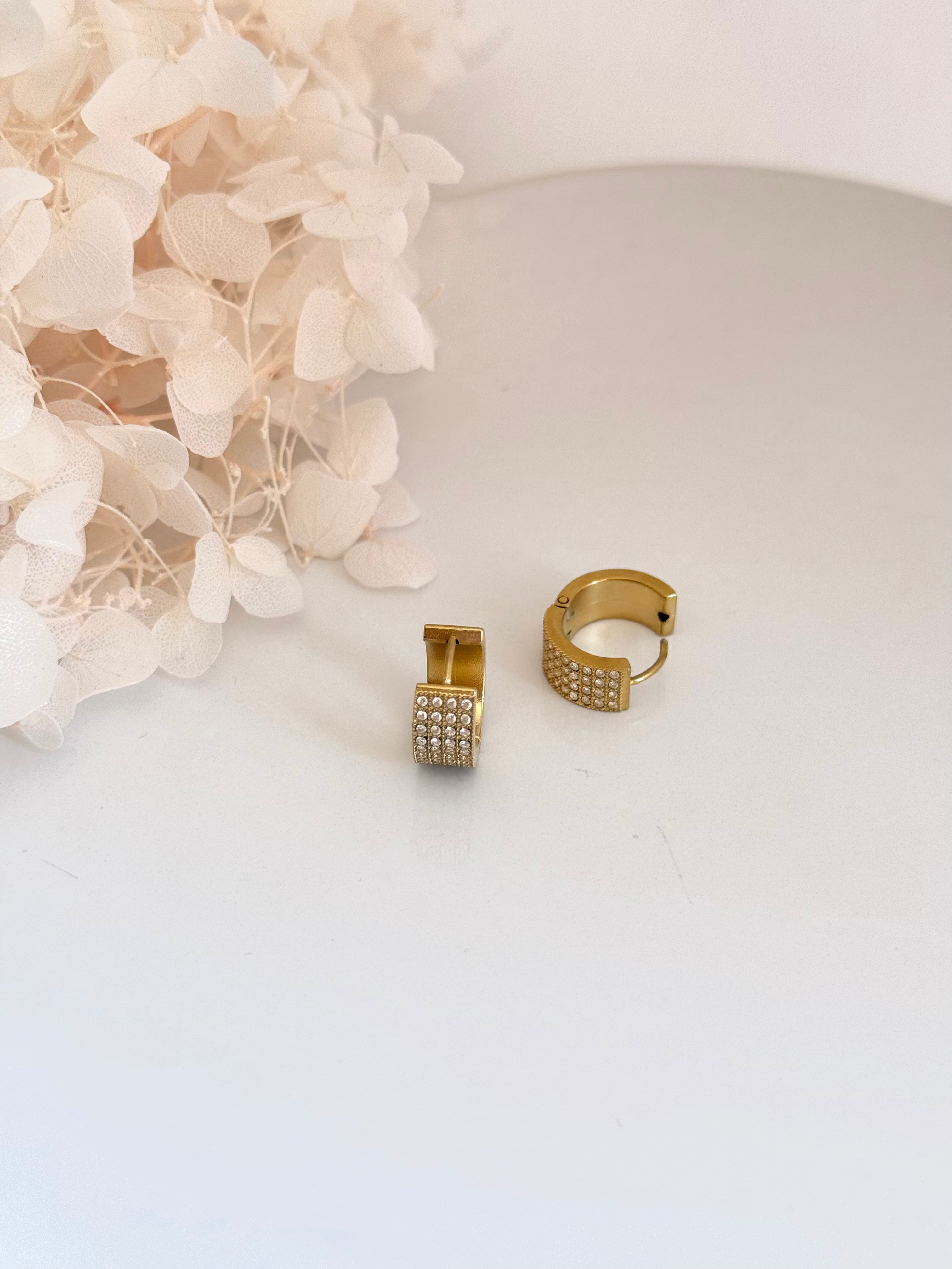 Pendientes BRILLO